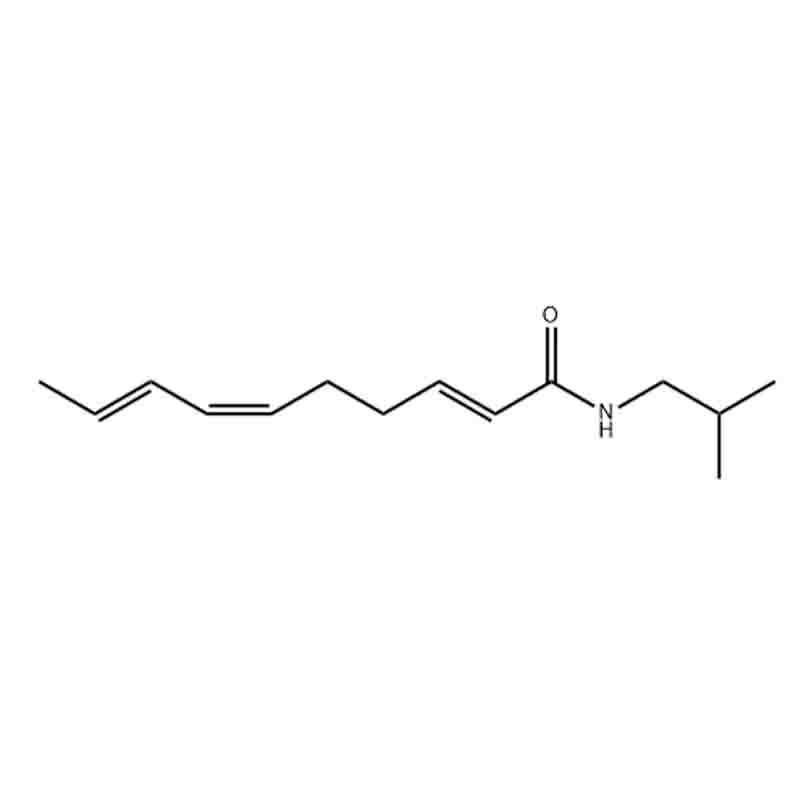 千日菊酰胺；千日菊素 Spilanthol CAS No.25394-57-4高纯度植物单体大货供应